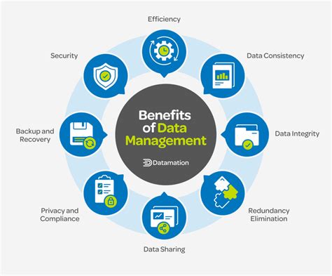 The importance of data management in digital .